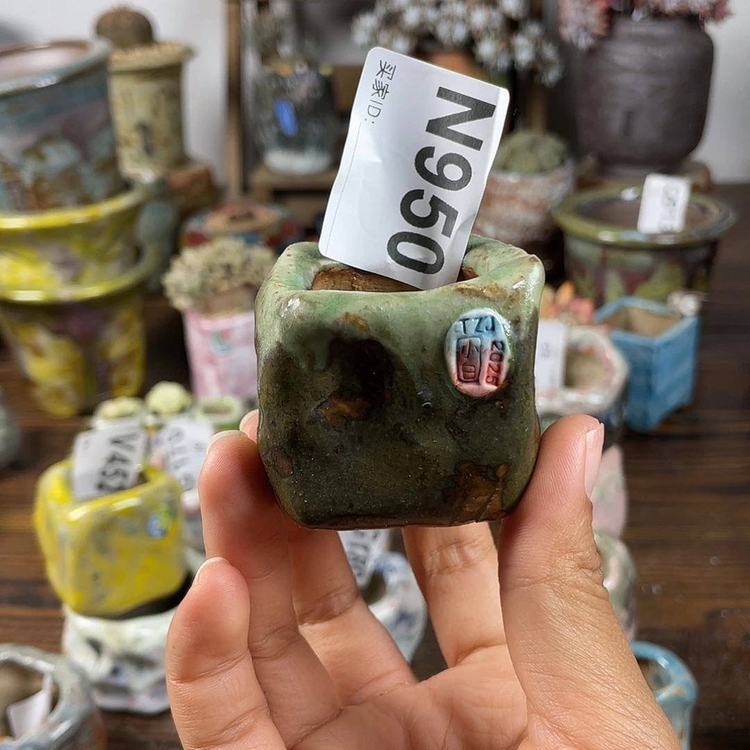 坛子姐花盆 小白孤品 内口3*2.7