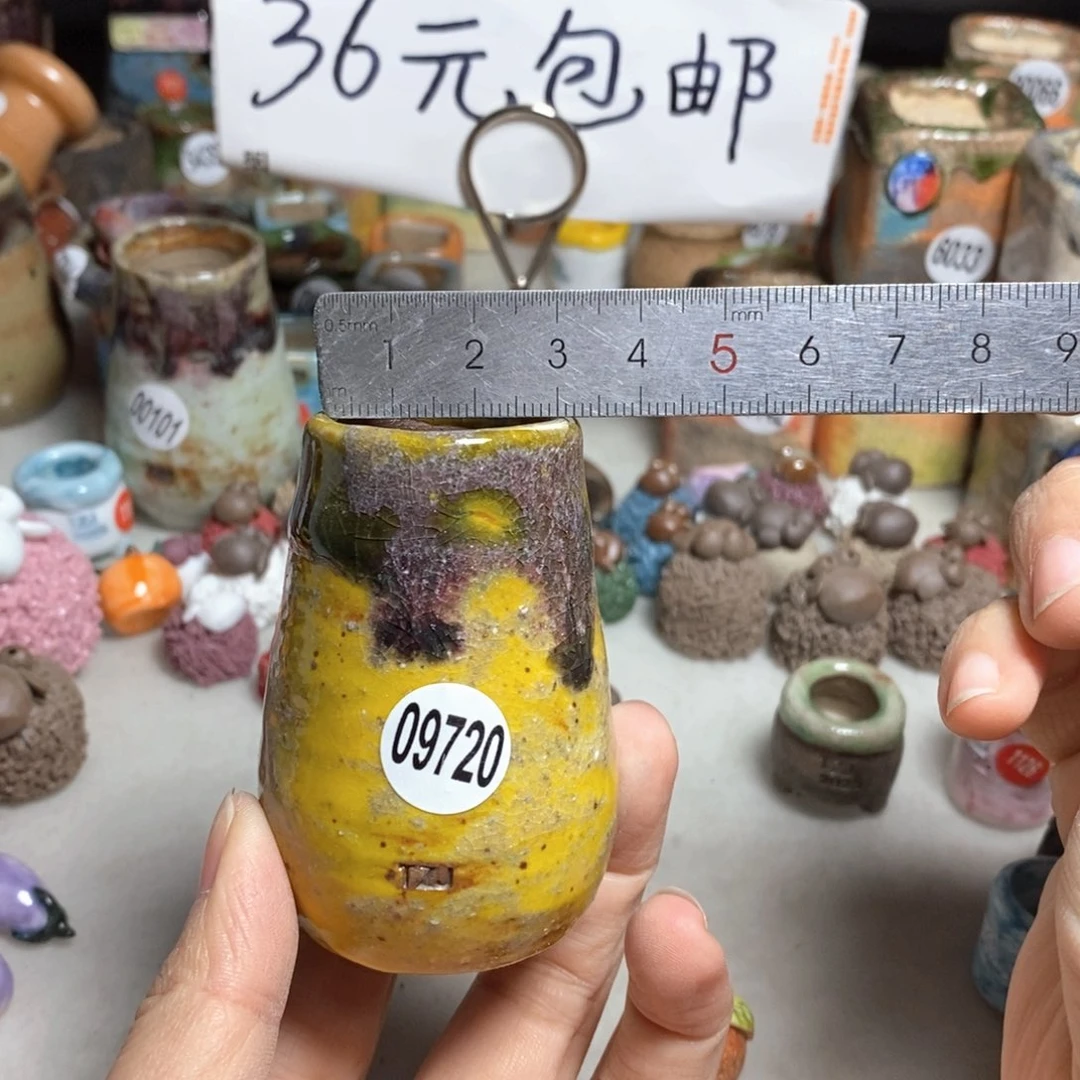拍5送一个小礼物