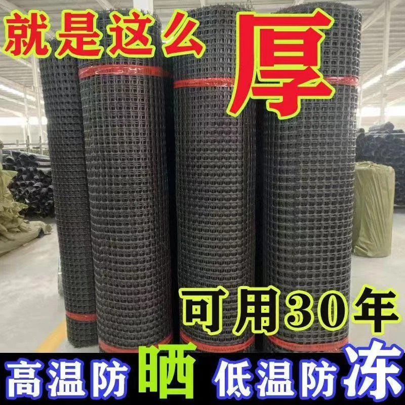 硬塑荷兰网养殖鱼塘围栏 果园圈地围栏鸡鸭鹅围网 批发土工格栅