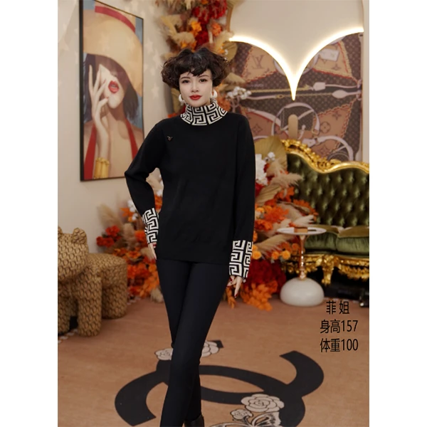 E576 时尚气质女士修身高领保暖冬季上衣