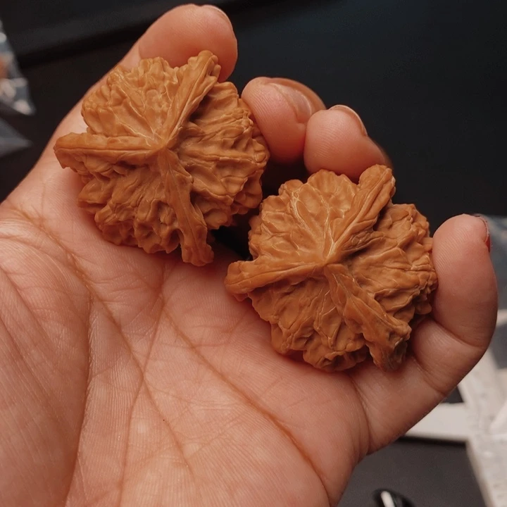 核桃三棱40尺核桃