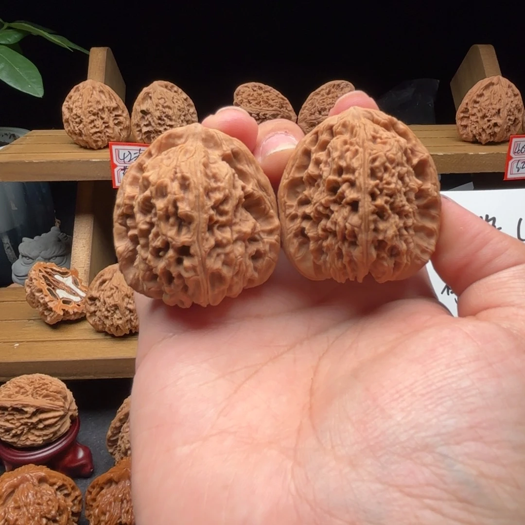 A***A核桃涿鹿南疆一代