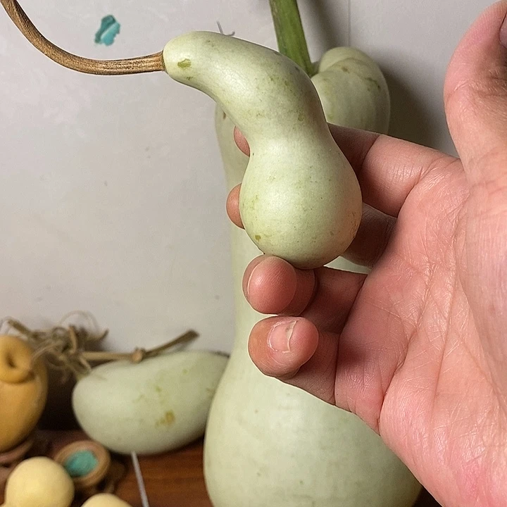 滨***哥青皮小象葫芦手把件