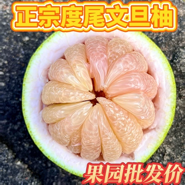 莆田仙游正宗度尾文旦柚当季新鲜水果香软糯酸甜多汁柚子30-50