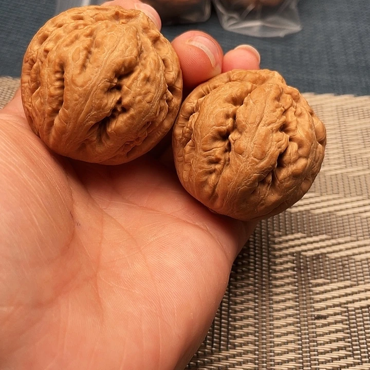 霸王龙文玩核桃40