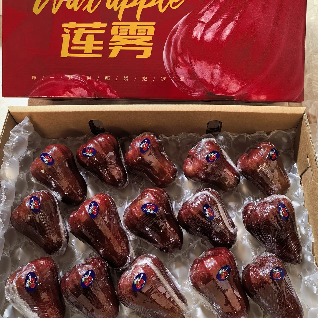 现货秒发海南三亚黑金刚莲雾一级树上自然熟水果应季顺丰