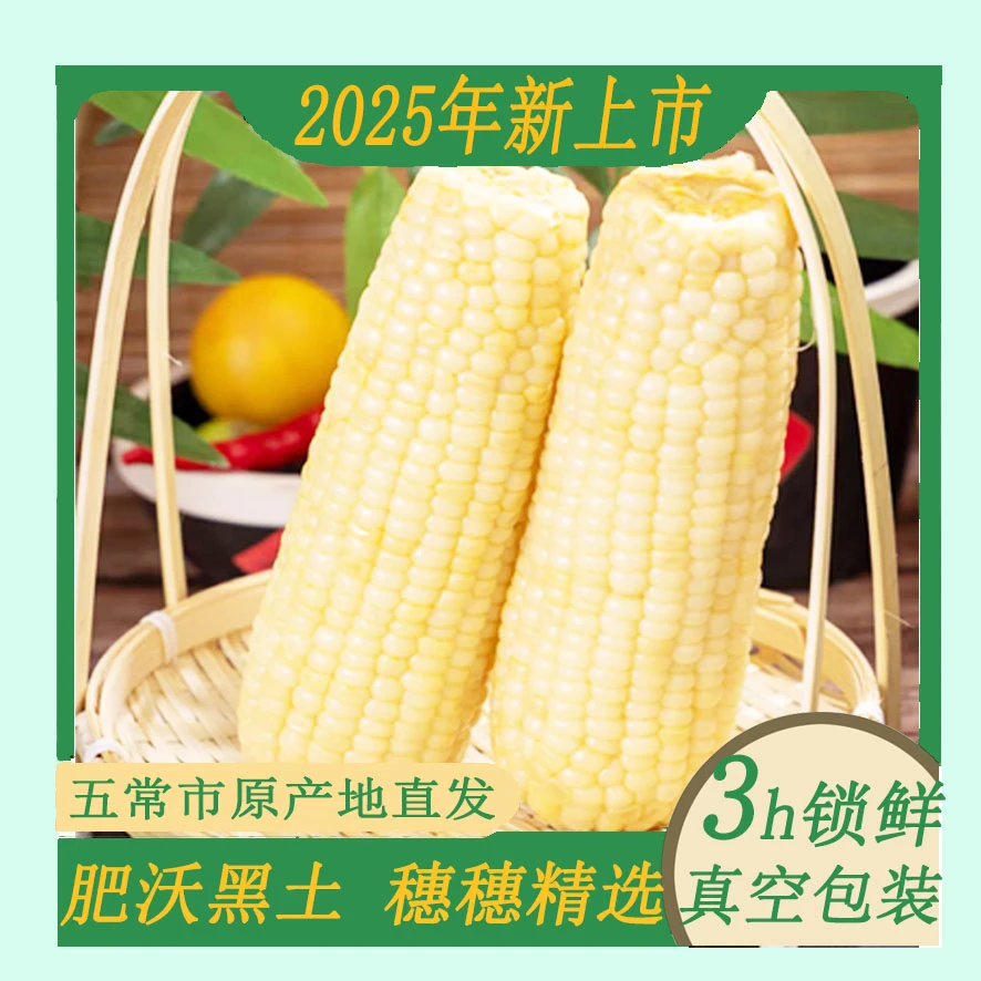 2025年新鲜上市东北黄白甜糯玉米，软糯香甜粒粒晶莹，美味低脂健康