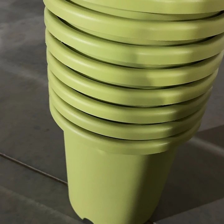 编号88口33果绿无托10个