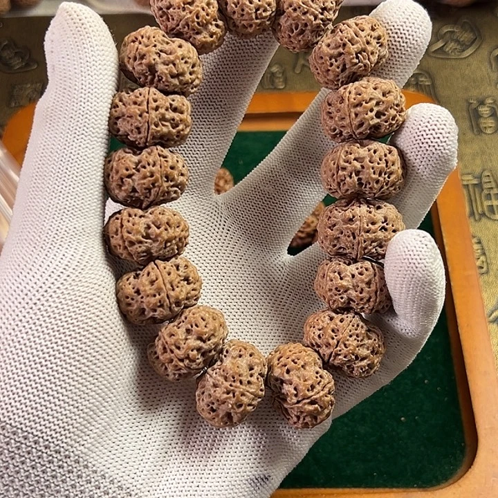 菩提籽类卡22大金刚