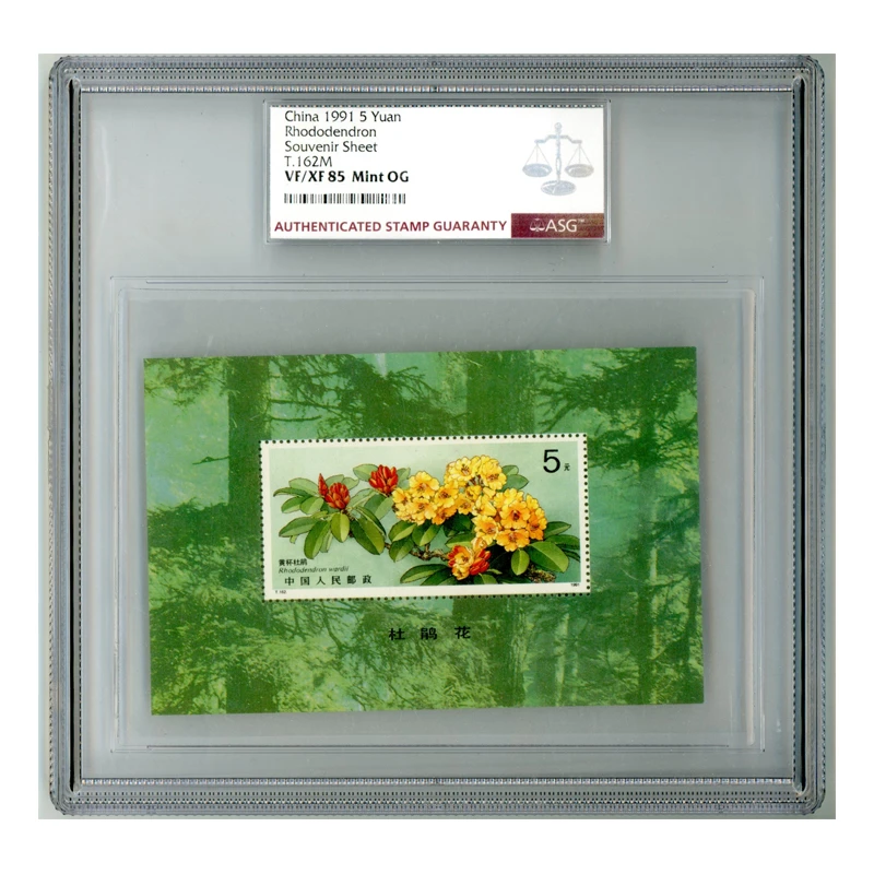 T162M 杜鹃花(小型张) ASG85 T字邮票  1枚 胶版
