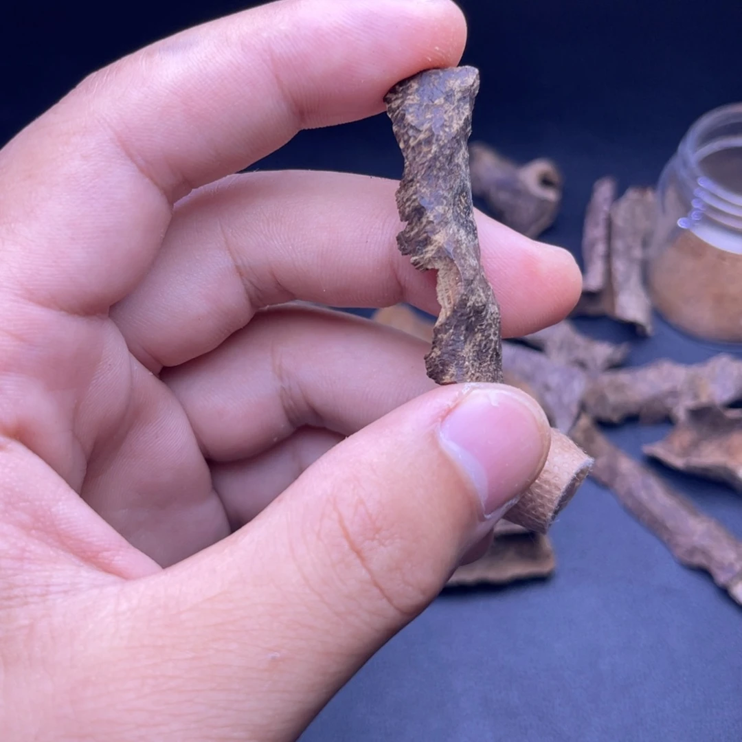 香榧木海南大山沉水鸡母虫漏1.3克