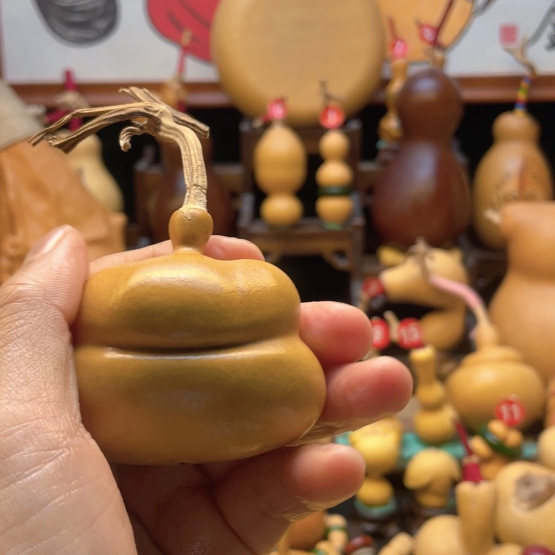 ?****è大自然的秘密第十一章