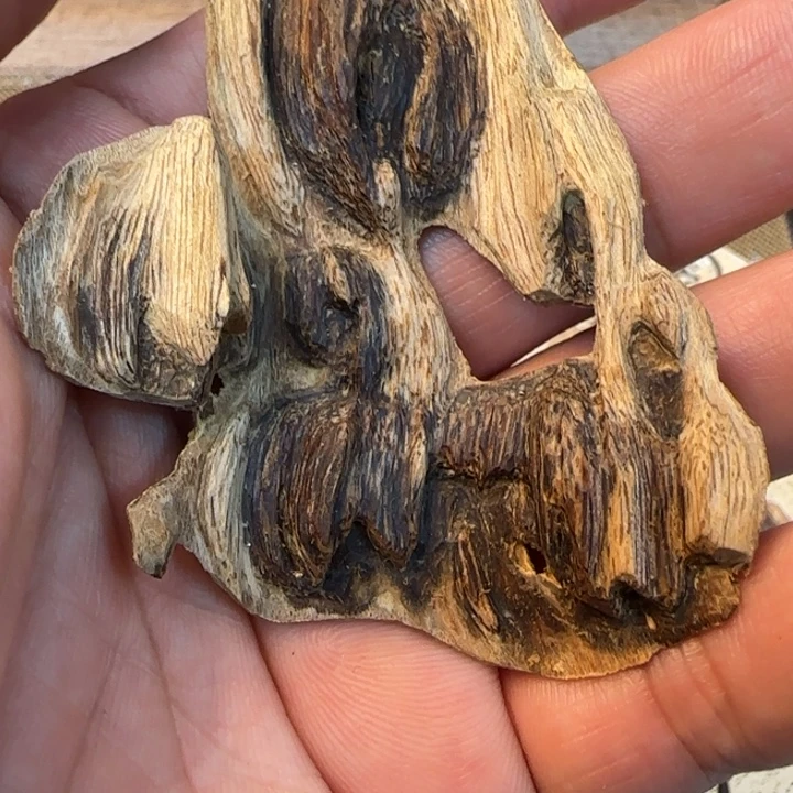 摆件沉香惠东野生虎斑棋5.7克