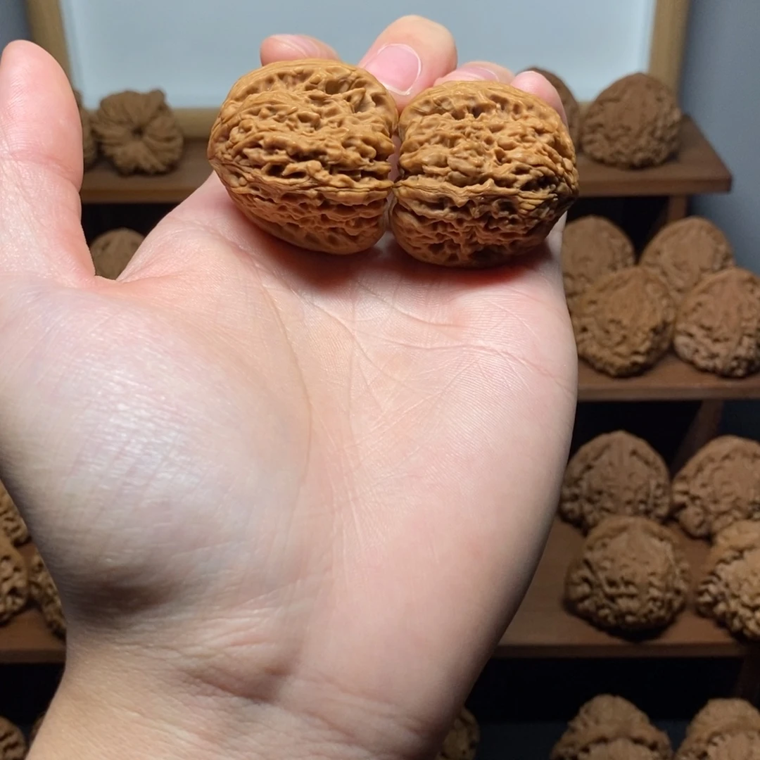 核桃南疆石35尺全品对歪鹰嘴