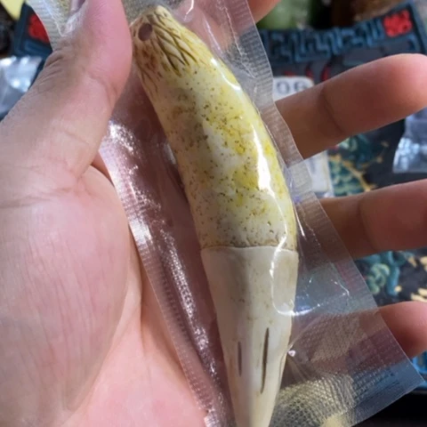 大哥专拍链接一号