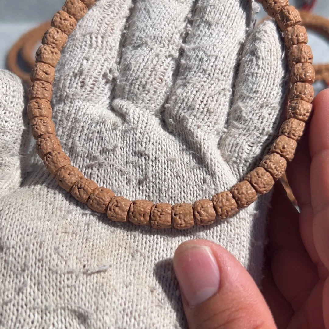 @*五爪金龙龙切佛手小金刚