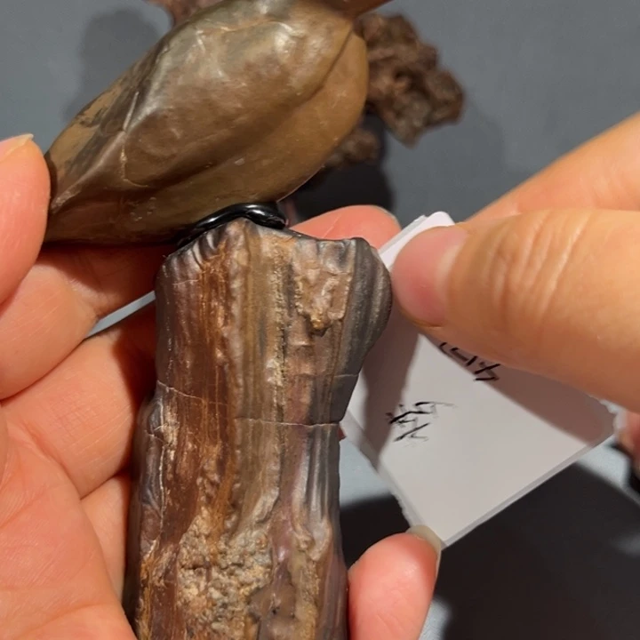 合成树脂戈壁石象熊石小鸟