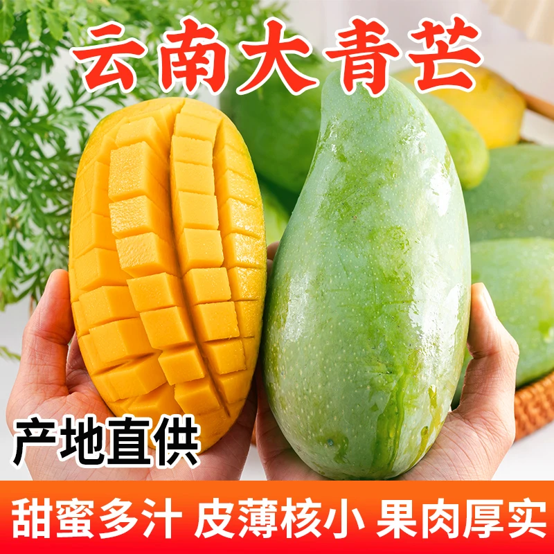 新鲜云南西双版纳大青芒5斤生熟两吃青皮金煌芒