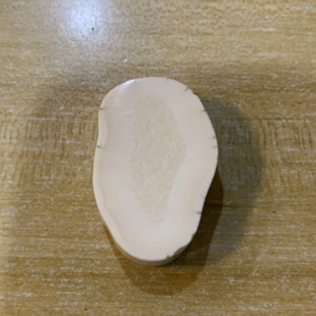 猛犸虬饼子  WT46