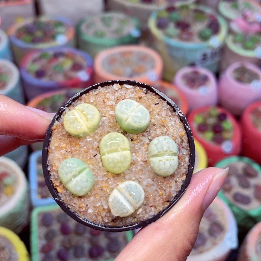 314。888888888888888888888