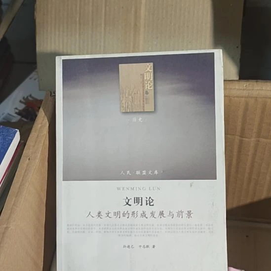 文明论人类文明的形成、发展与前景。