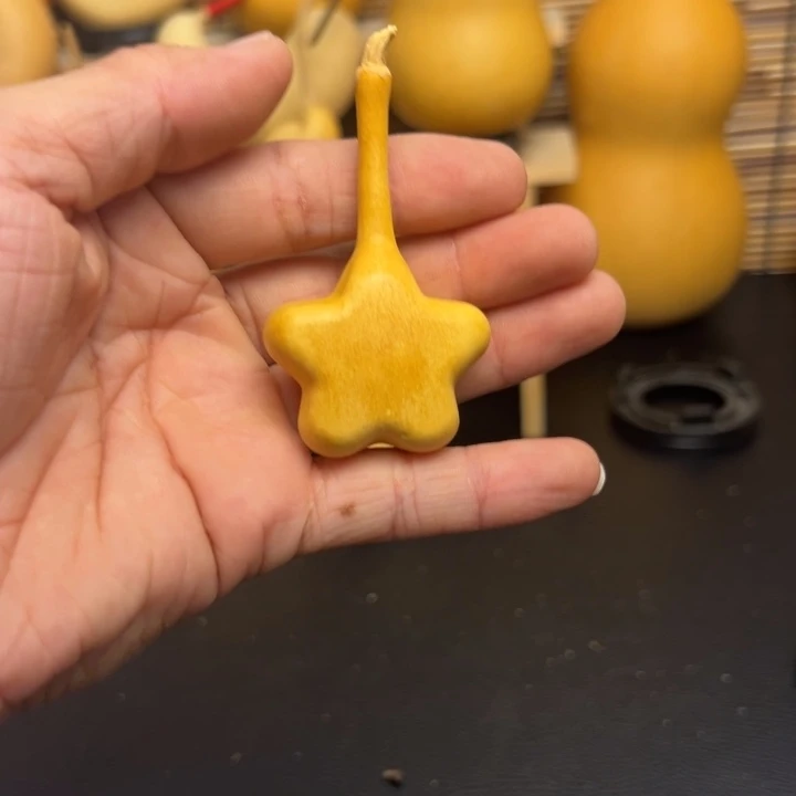 兔*?不考虑考虑突突突突突258999