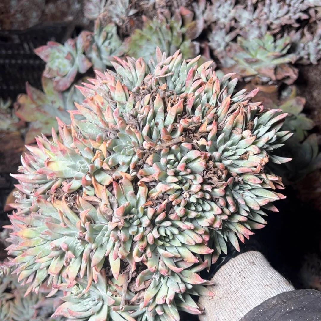 5846哈哈哈哈哈哈哈哈哈