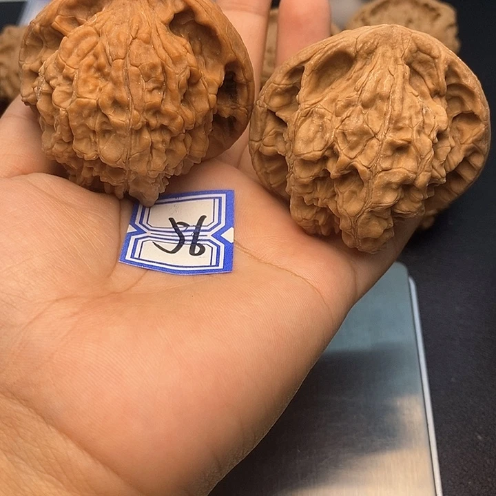 文玩核桃把件55龙鼎（反油）