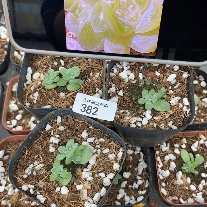 标382哈财富c9一个量