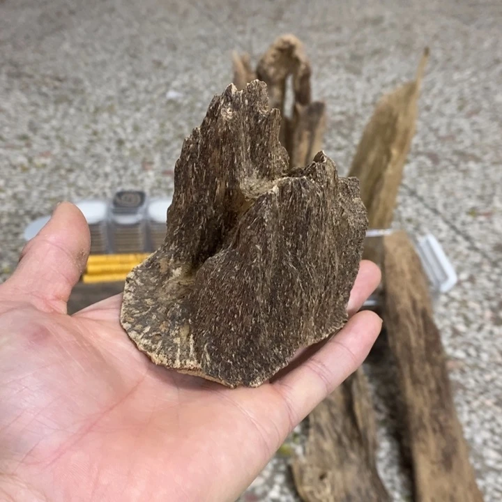 线香国香黑油斗笠香69克