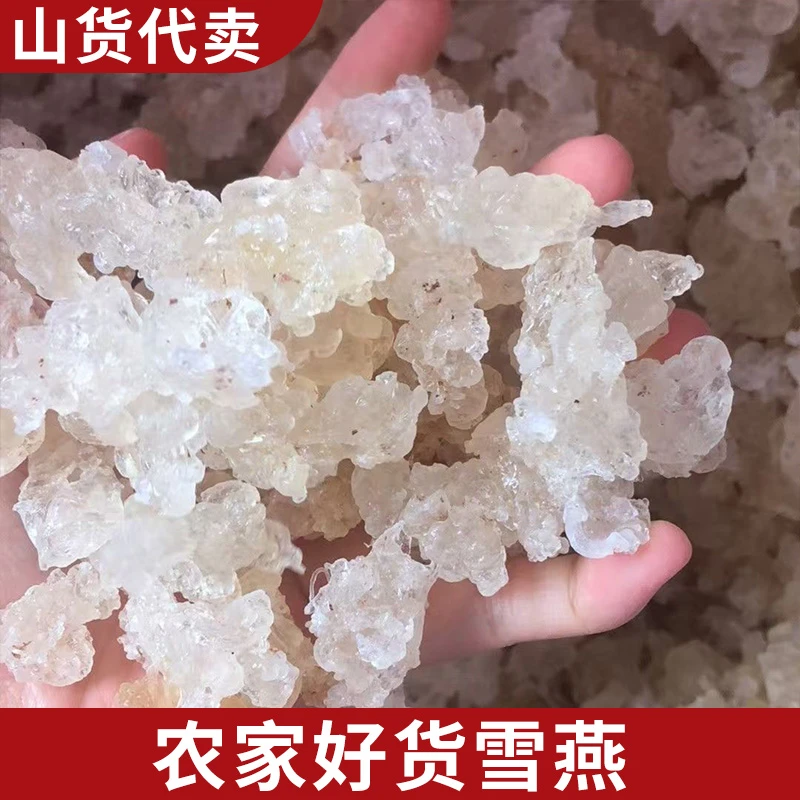 1斤 雪燕 农家好货 可拉丝雪燕