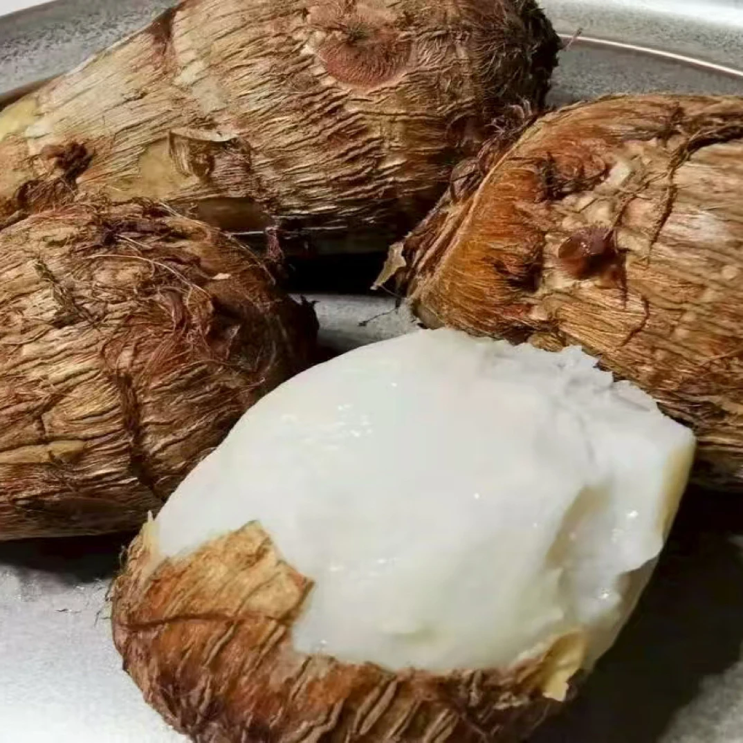 湖北沙地新鲜现挖牛奶芋头粉面香糯农家自种芋头