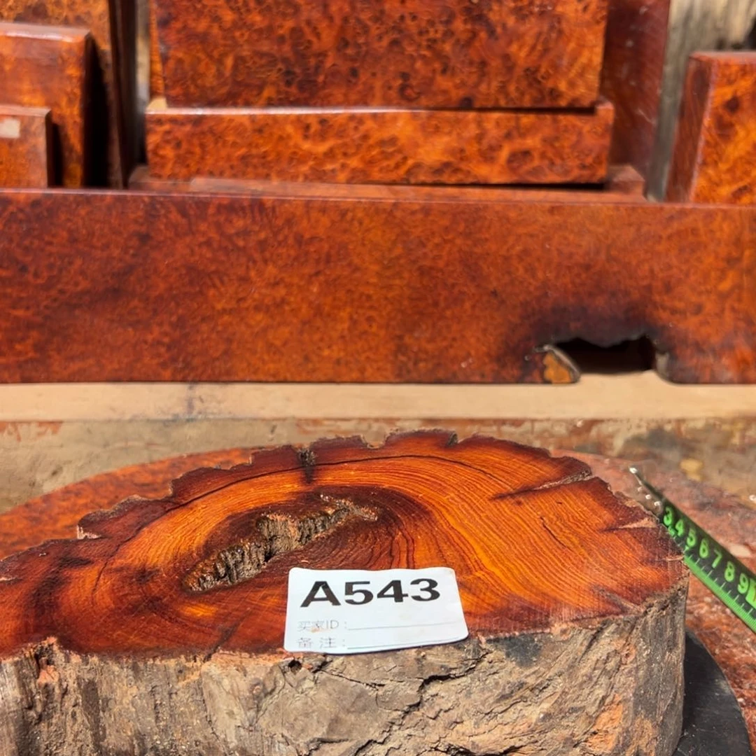 大果紫檀（缅甸花梨）