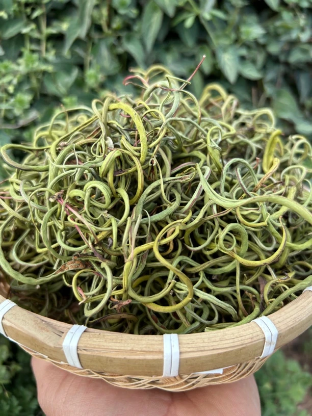 【三哥特产】贵州农家野生化shi草shen精草50g/袋包邮