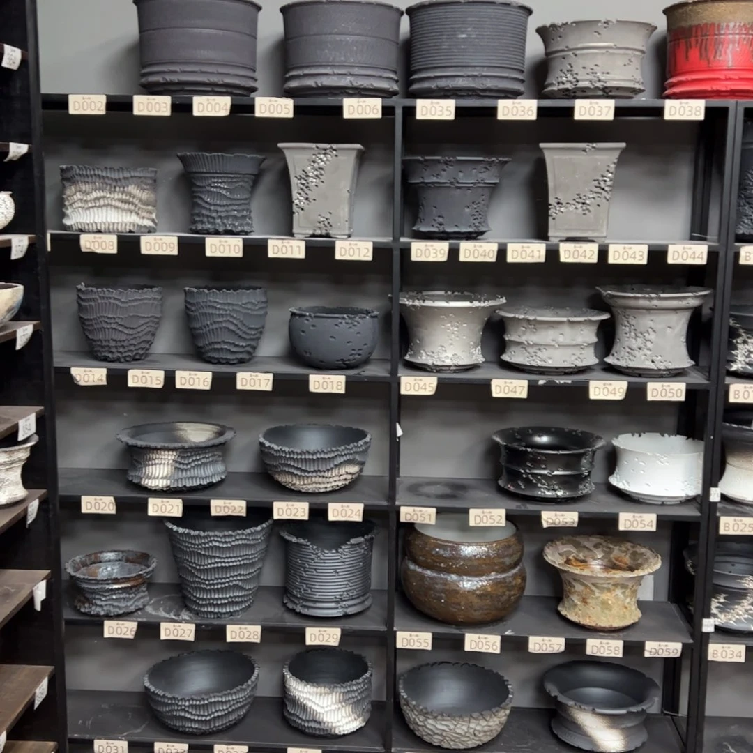 有喜欢的把编号打在公屏