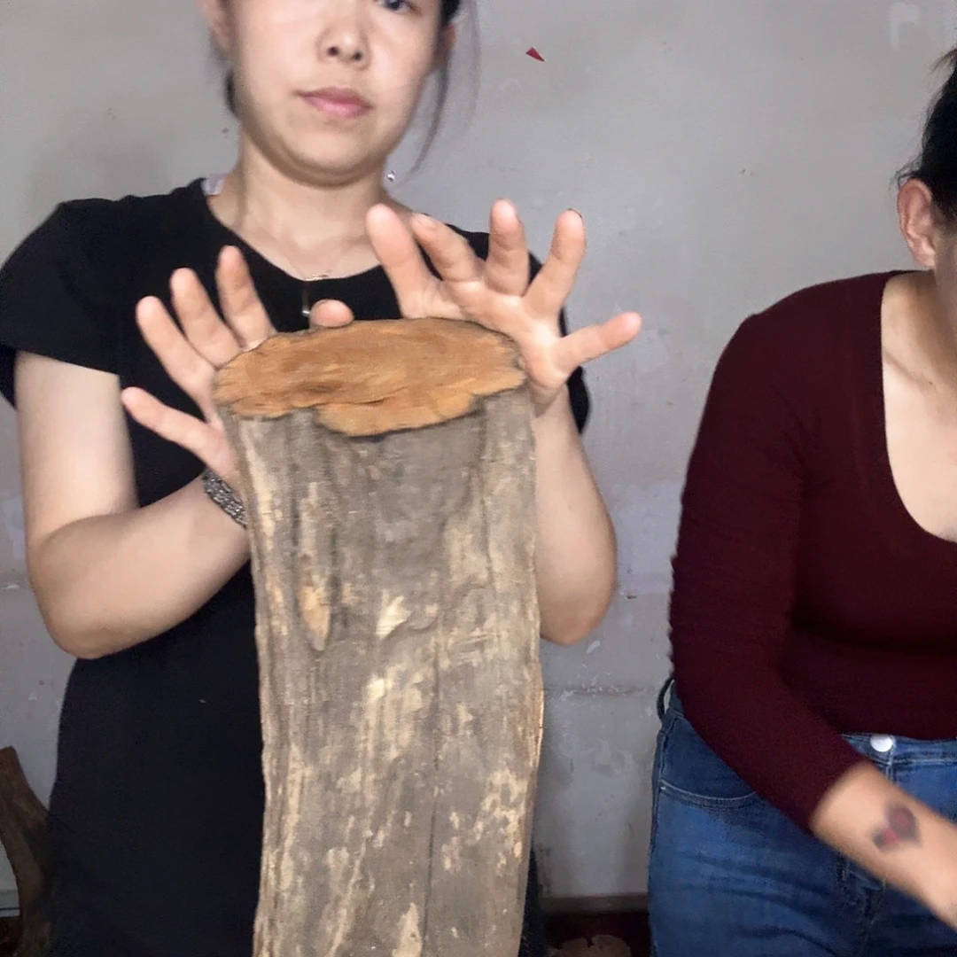 艾***龙木太行崖柏摆件摆件