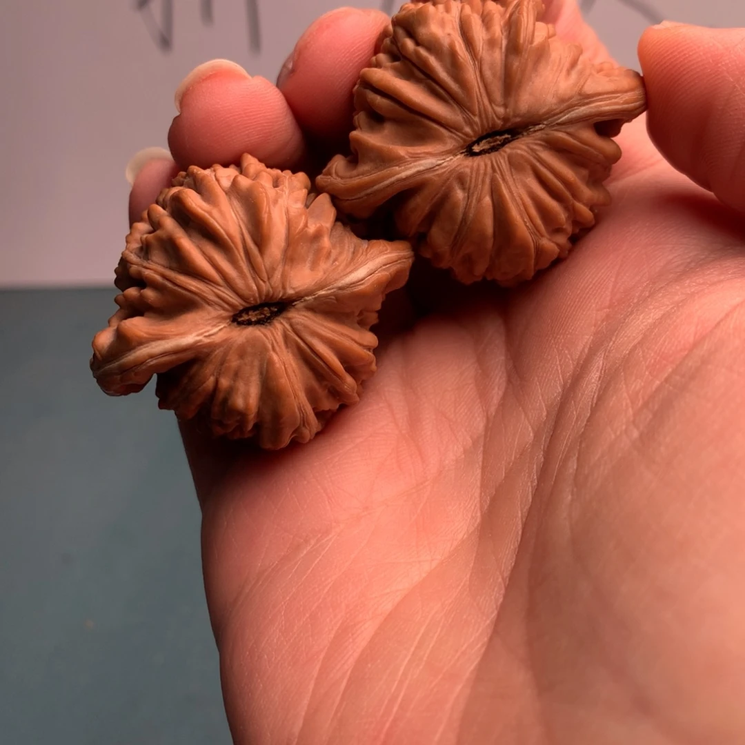 蟹***6楼1单元楼顶下了三