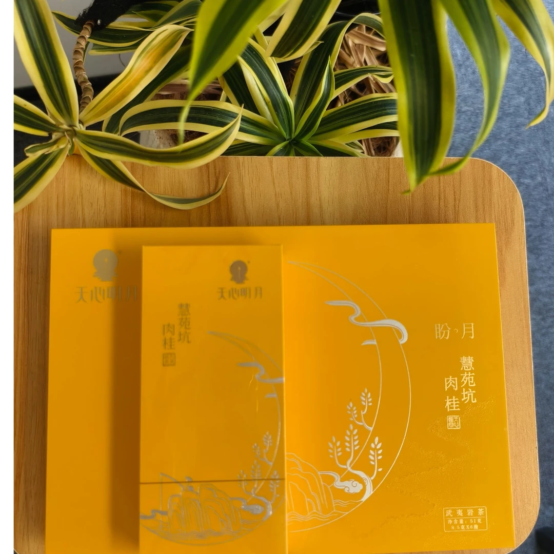 天心明月-盼月肉桂1品鉴（拍三单发一本）