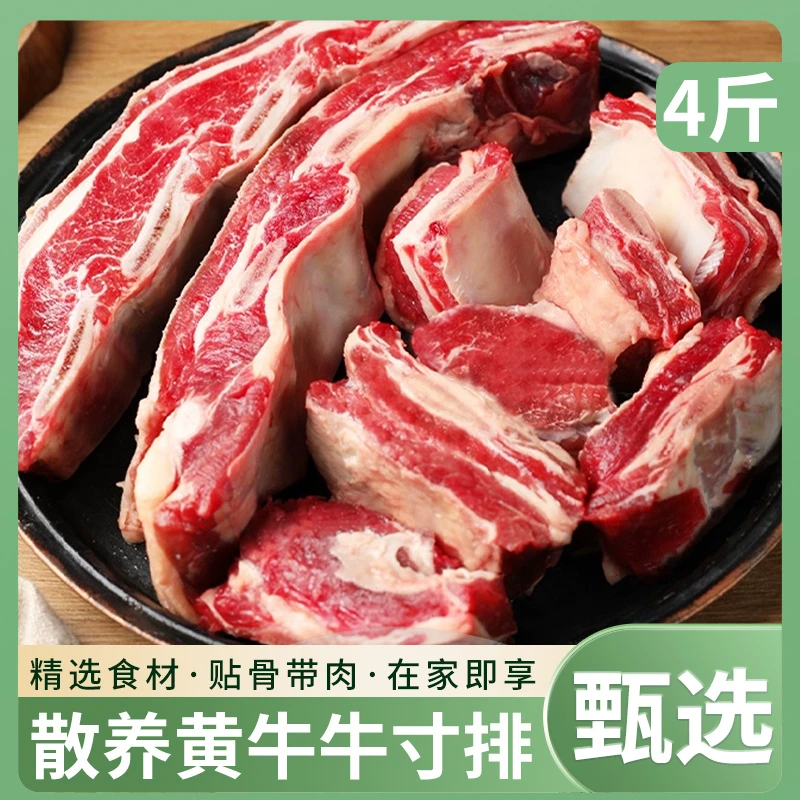 祁连山草原黄牛牛寸排带骨牛排骨新鲜带肉牛肋排生鲜牛肉4斤