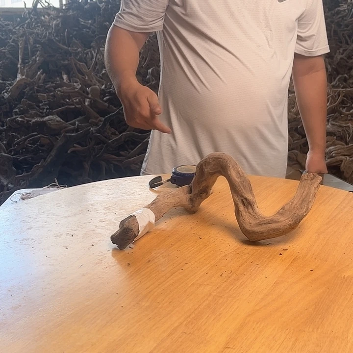 木鱼缸造景根雕艺术43