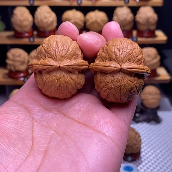 木质类云铁金龟玉甲81号