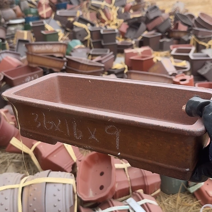 紫砂完还可以买几斤零食回来