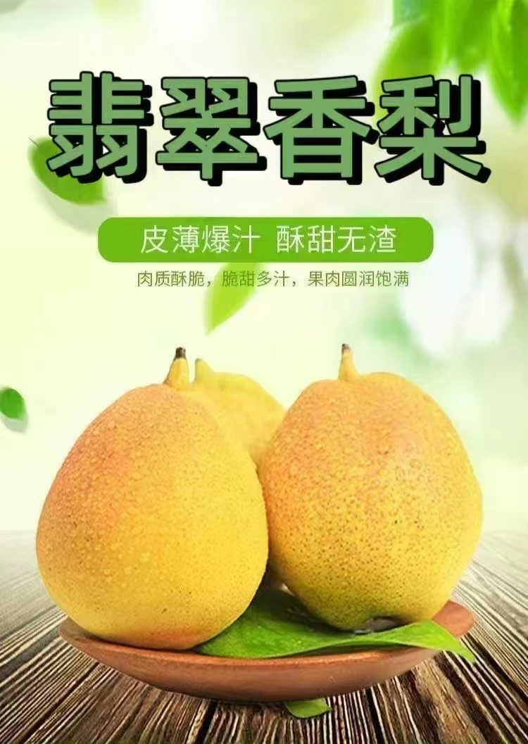 【2025头茬翡翠香梨】头茬果园采摘脆甜皮薄新鲜水果一整箱批发