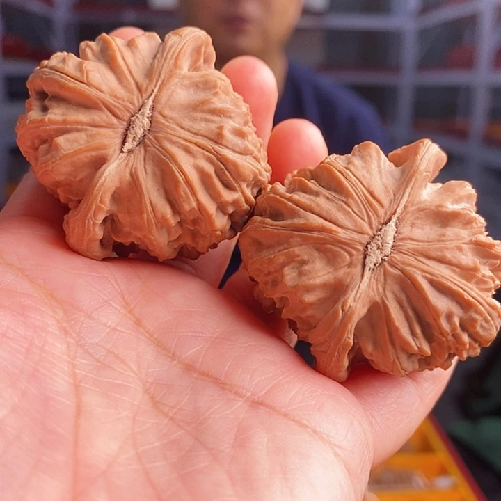 把件文玩核桃白狮子44到45尺