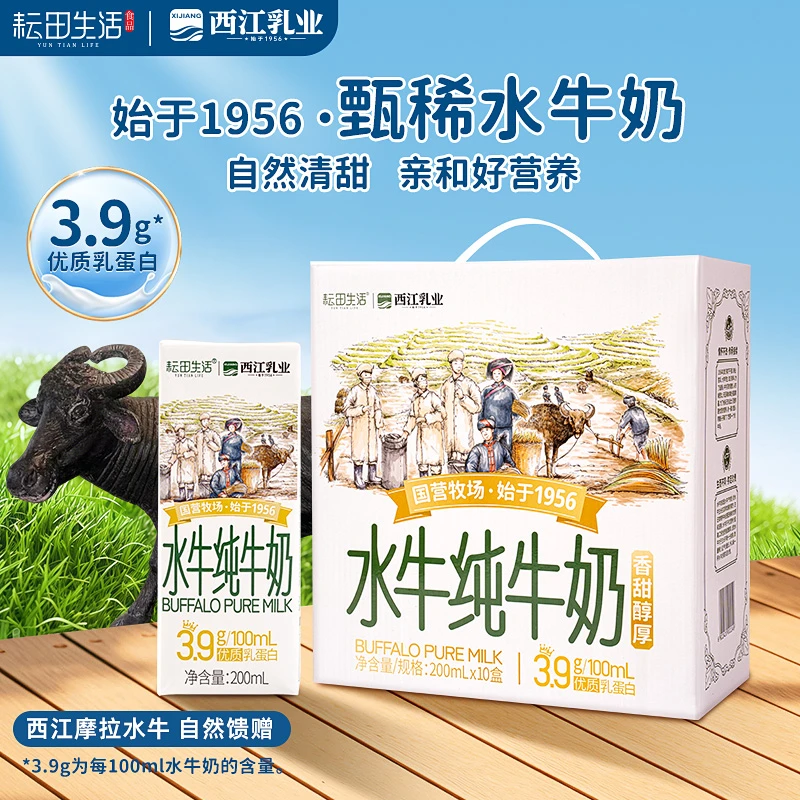 水牛奶纯牛奶学生营养早餐奶200ml*10盒