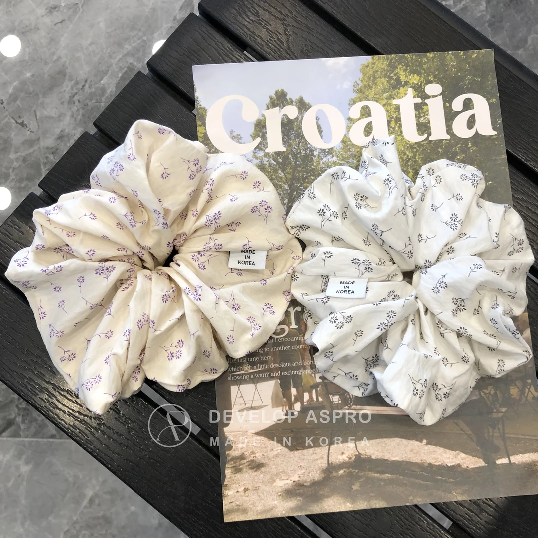 【现货 ASPRO原创设计款】韩国新款正品爆款减龄洋气大肠圈AP140