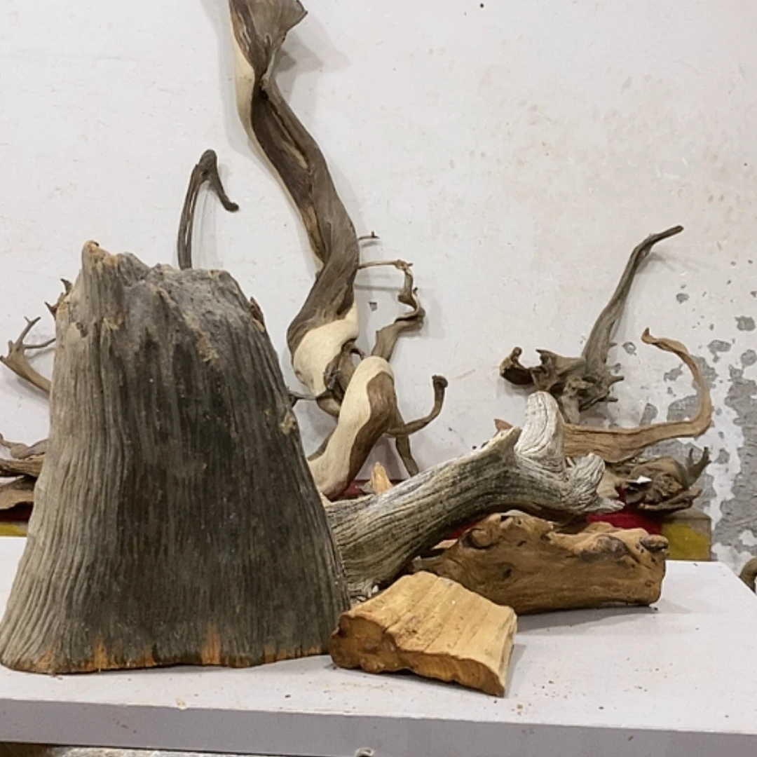 【闪购商品】柏木江****习我们都是好孩子