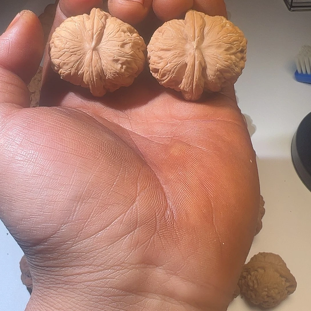 墨***隐把件文玩核桃文玩