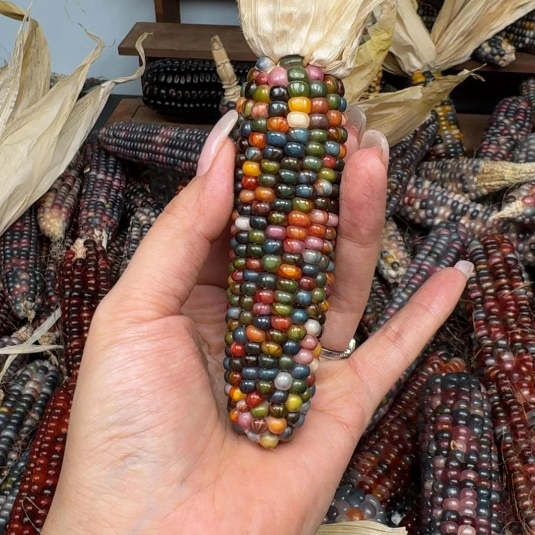 柏香籽/百香籽吊坠T*?