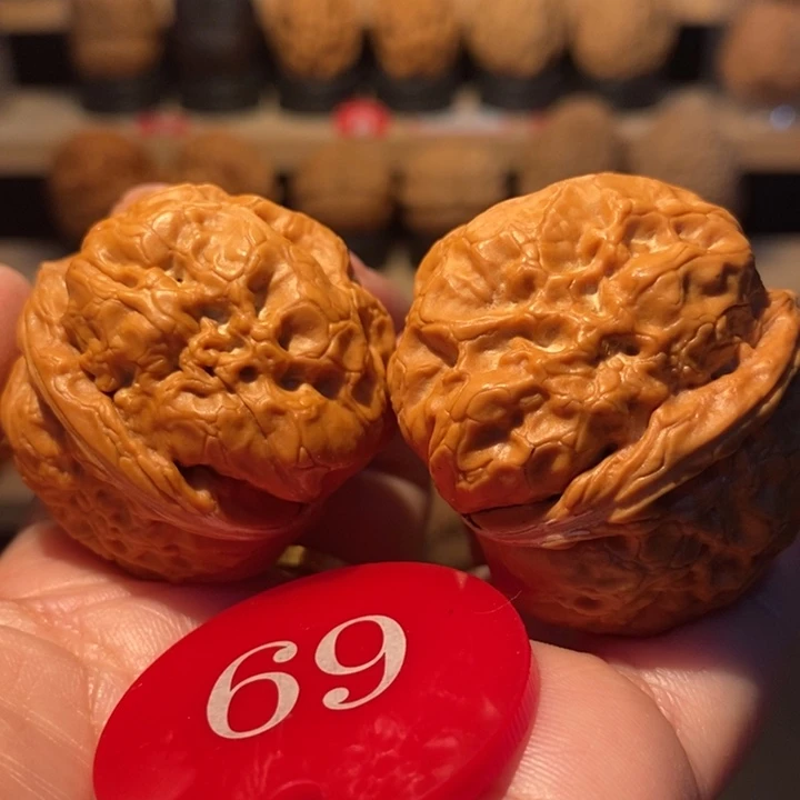 木质类平头金蟾40尺寸